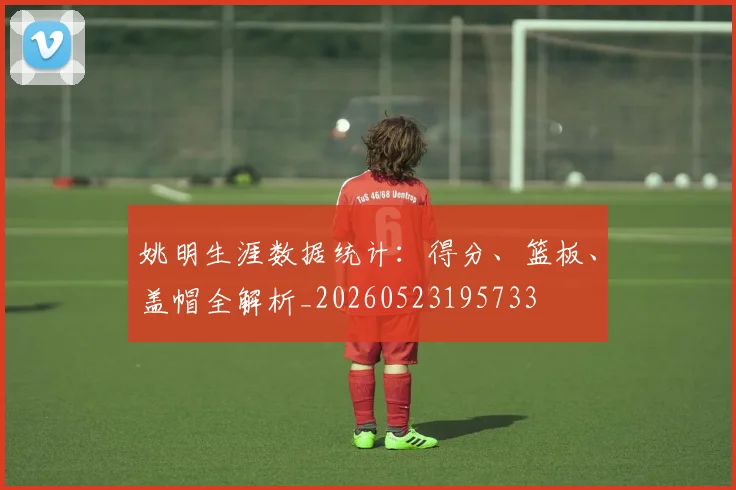 姚明生涯数据统计：得分、篮板、盖帽全解析_20260523195733